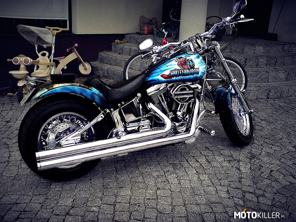 Harley Davidson SpiderMan – 1,4 l. 