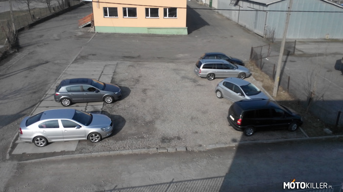 Mistrz parkowania – Zająć 3 miejsca parkingowe autem o długości 2m. 