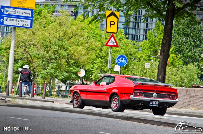 Ford Mustang Mach1 – Spotkany w Amsterdamie. 