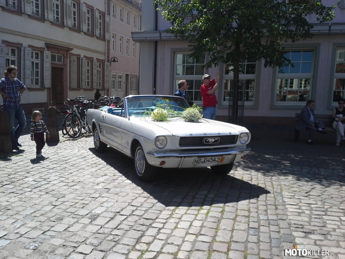Ford Mustang – Auto weselne w Niemczech 