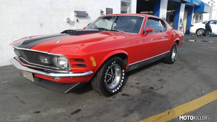 Ford Mustang MACH1 –  