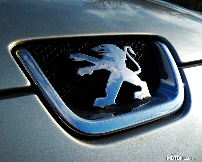 Peugeot – Zdjęcie mojego autorstwa :) Peugeot 407 