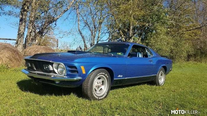 Ford Mustang Mach1 –  
