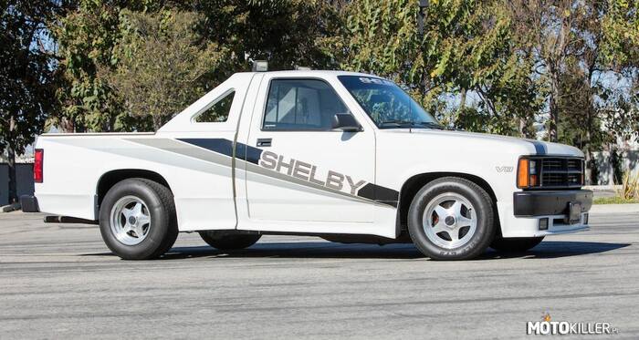 Dodge Dakota Shelby –  