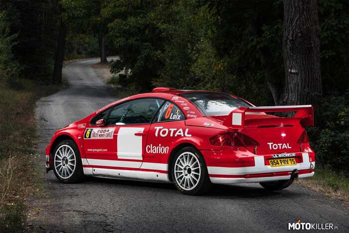 Peugeot 307 WRC –  
